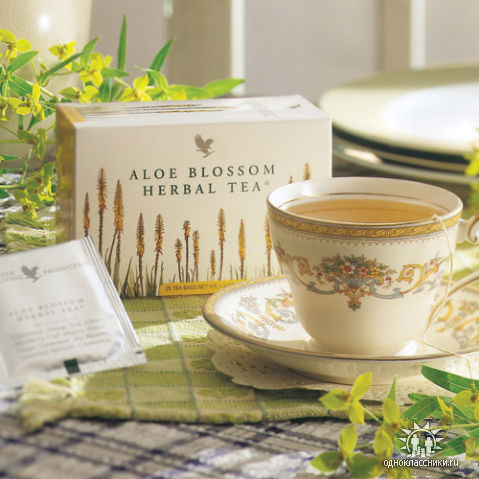 Aloe Vera Blossom Herbal Tea